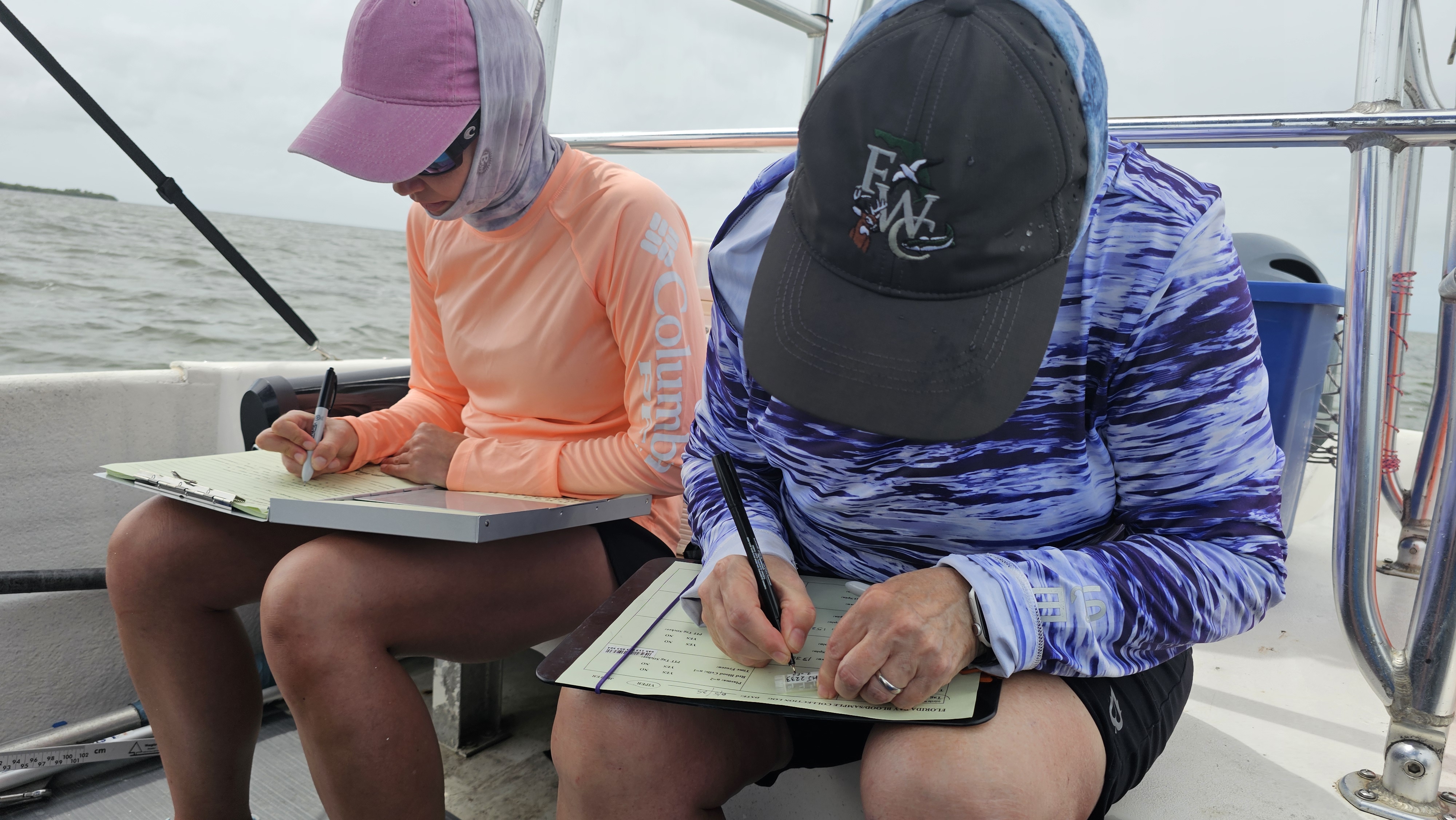 Two field crew members recording data on clipboards during a turtle capture event